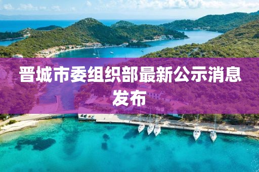 晋城市委组织部最新公示消息发布