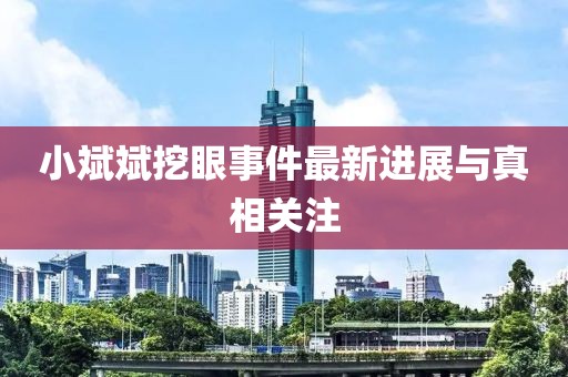 小斌斌挖眼事件最新进展与真相关注