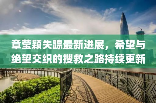 章莹颖失踪最新进展，希望与绝望交织的搜救之路持续更新