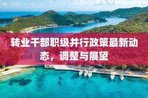 转业干部职级并行政策最新动态，调整与展望