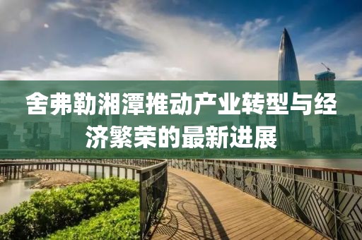 舍弗勒湘潭推动产业转型与经济繁荣的最新进展