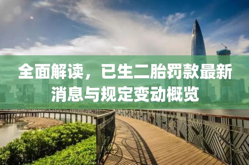 全面解读，已生二胎罚款最新消息与规定变动概览