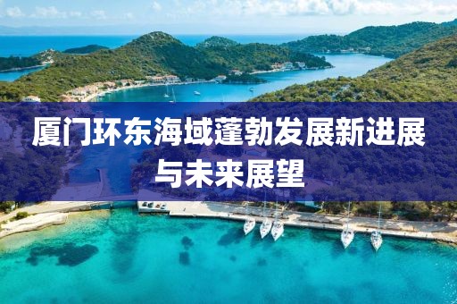 厦门环东海域蓬勃发展新进展与未来展望