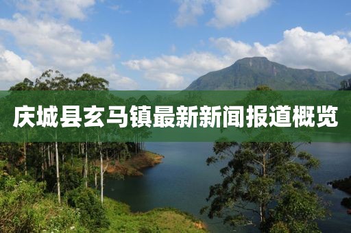 庆城县玄马镇最新新闻报道概览