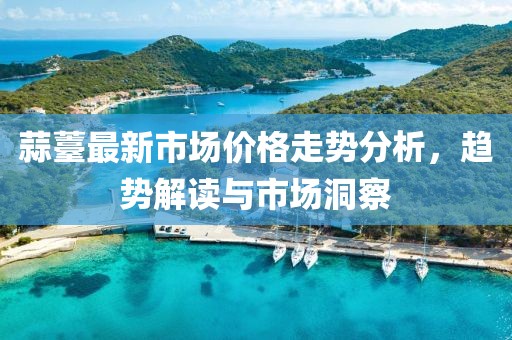 蒜薹最新市场价格走势分析，趋势解读与市场洞察