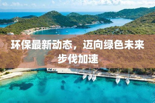 环保最新动态，迈向绿色未来步伐加速