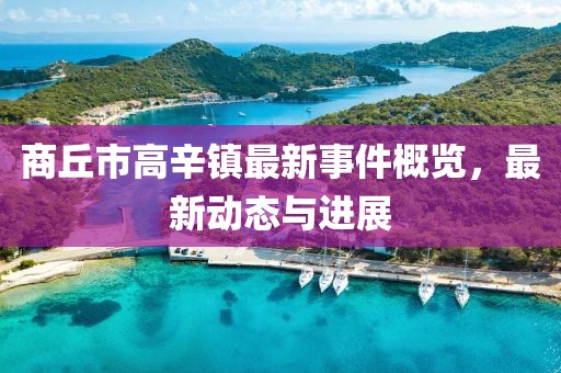 商丘市高辛镇最新事件概览，最新动态与进展