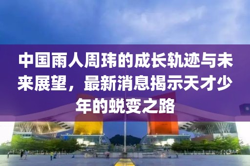 中国雨人周玮的成长轨迹与未来展望，最新消息揭示天才少年的蜕变之路