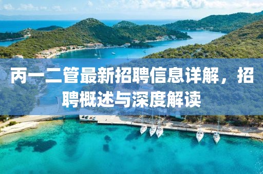 丙一二管最新招聘信息详解，招聘概述与深度解读