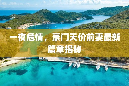 一夜危情，豪门天价前妻最新篇章揭秘