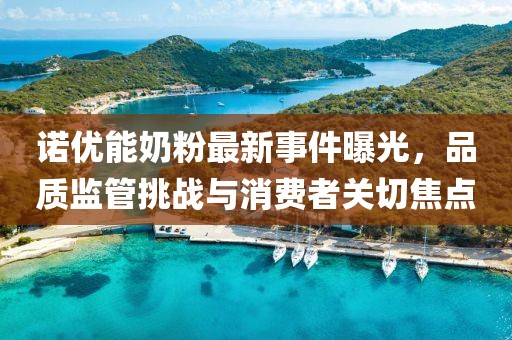 诺优能奶粉最新事件曝光，品质监管挑战与消费者关切焦点