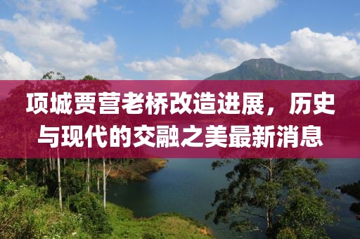 项城贾营老桥改造进展，历史与现代的交融之美最新消息