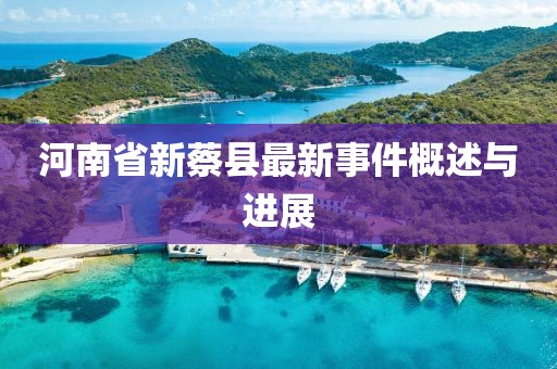 河南省新蔡县最新事件概述与进展
