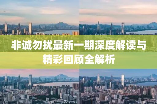 非诚勿扰最新一期深度解读与精彩回顾全解析