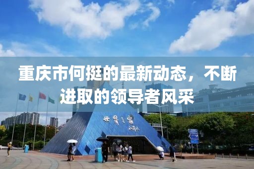 重庆市何挺的最新动态，不断进取的领导者风采