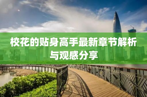 校花的贴身高手最新章节解析与观感分享