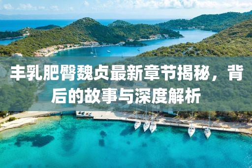 丰乳肥臀魏贞最新章节揭秘，背后的故事与深度解析