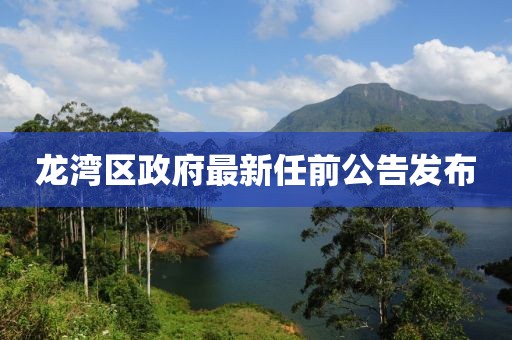 龙湾区政府最新任前公告发布