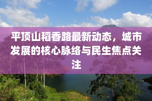 平顶山稻香路最新动态，城市发展的核心脉络与民生焦点关注