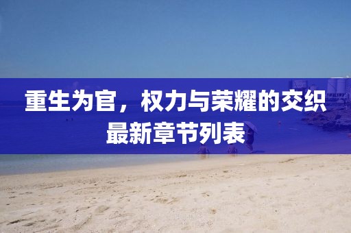 重生为官，权力与荣耀的交织最新章节列表