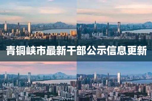 青铜峡市最新干部公示信息更新