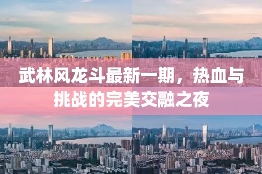 武林风龙斗最新一期，热血与挑战的完美交融之夜