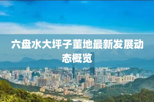 六盘水大坪子董地最新发展动态概览