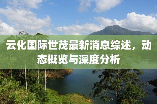云化国际世茂最新消息综述，动态概览与深度分析
