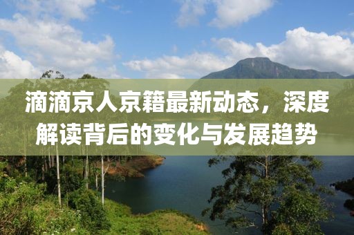 滴滴京人京籍最新动态，深度解读背后的变化与发展趋势