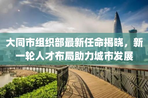 大同市组织部最新任命揭晓，新一轮人才布局助力城市发展