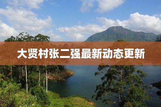 大贤村张二强最新动态更新