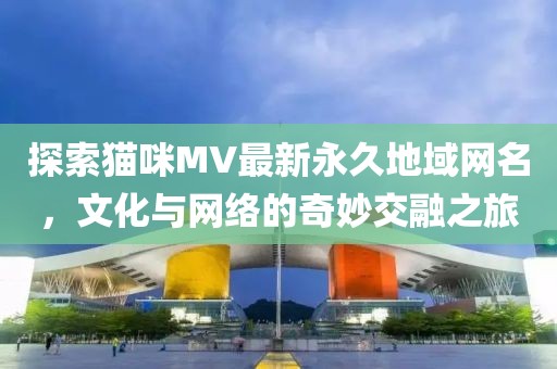 探索猫咪MV最新永久地域网名，文化与网络的奇妙交融之旅
