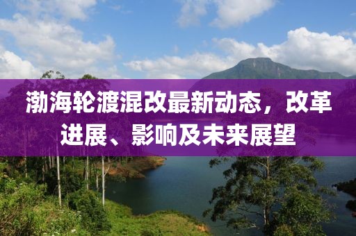 渤海轮渡混改最新动态，改革进展、影响及未来展望