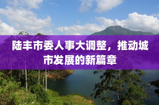 陆丰市委人事大调整，推动城市发展的新篇章