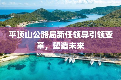 平顶山公路局新任领导引领变革，塑造未来