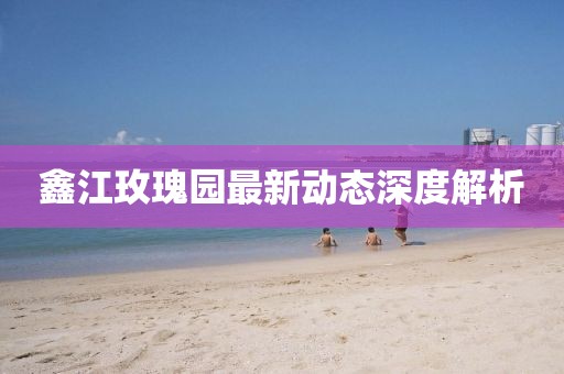 鑫江玫瑰园最新动态深度解析