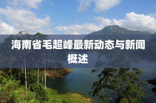 海南省毛超峰最新动态与新闻概述