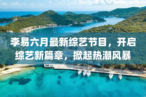 李易六月最新综艺节目，开启综艺新篇章，掀起热潮风暴