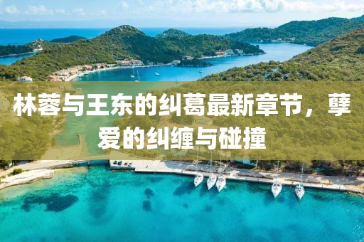 林蓉与王东的纠葛最新章节，孽爱的纠缠与碰撞