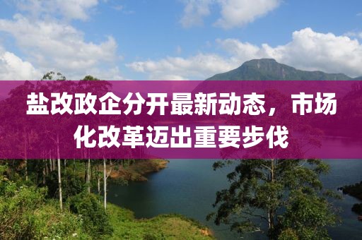 盐改政企分开最新动态，市场化改革迈出重要步伐
