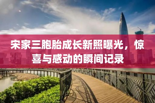 宋家三胞胎成长新照曝光，惊喜与感动的瞬间记录