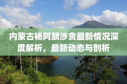内蒙古杨阿麟涉贪最新情况深度解析，最新动态与剖析