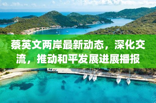 蔡英文两岸最新动态，深化交流，推动和平发展进展播报