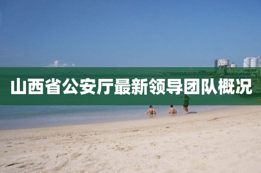 山西省公安厅最新领导团队概况