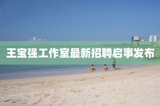 王宝强工作室最新招聘启事发布