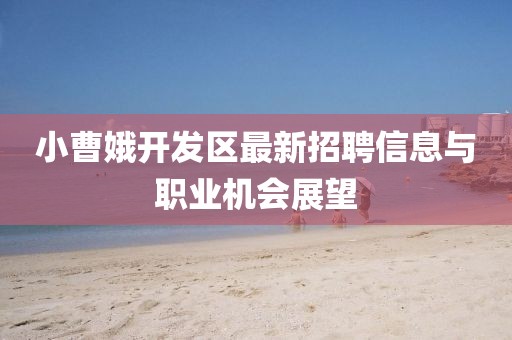 2025年4月17日 第10页