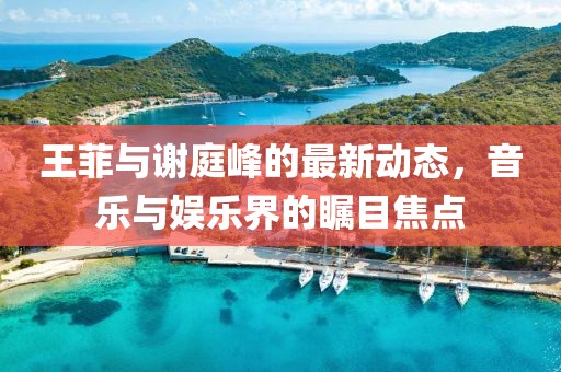 王菲与谢庭峰的最新动态，音乐与娱乐界的瞩目焦点