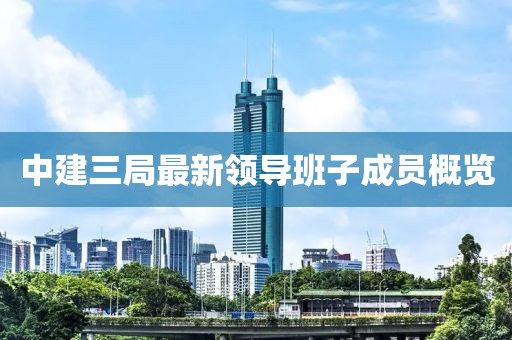 中建三局最新领导班子成员概览