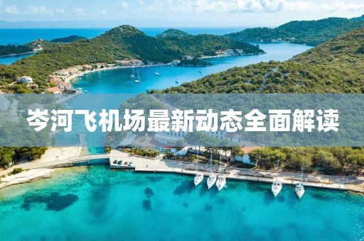 岑河飞机场最新动态全面解读