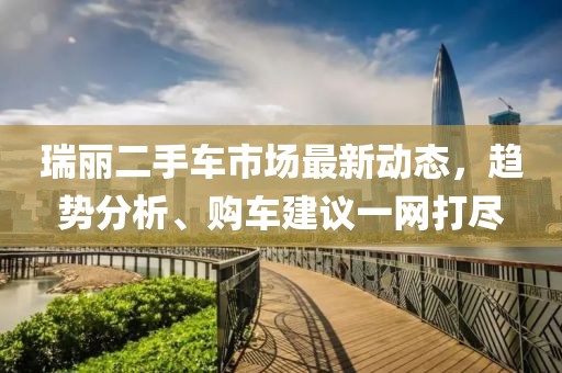 瑞丽二手车市场最新动态，趋势分析、购车建议一网打尽